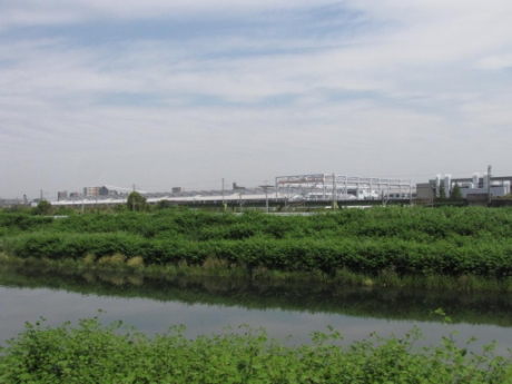 画像15